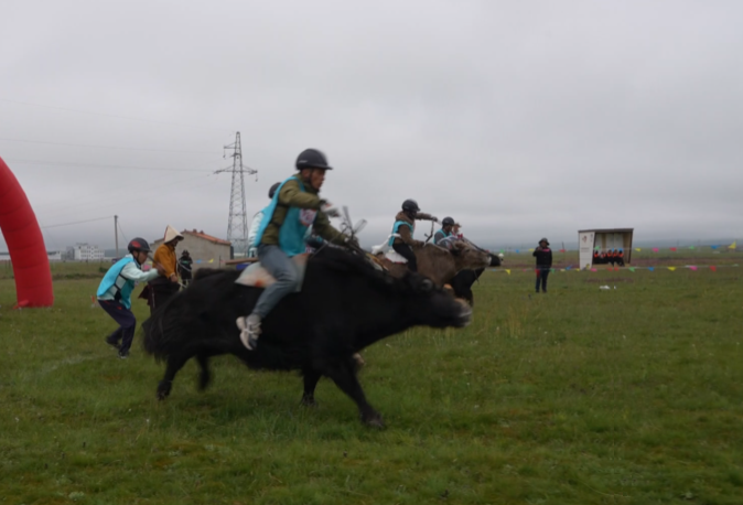 策“?！北简v在澤曲草原