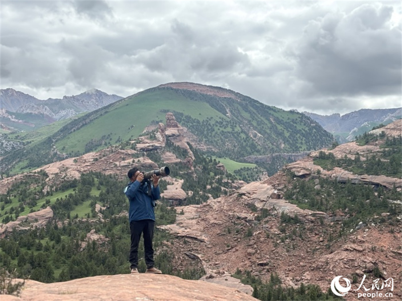 更尕在園區(qū)內(nèi)巡護(hù)。人民網(wǎng)記者 曹欣悅攝