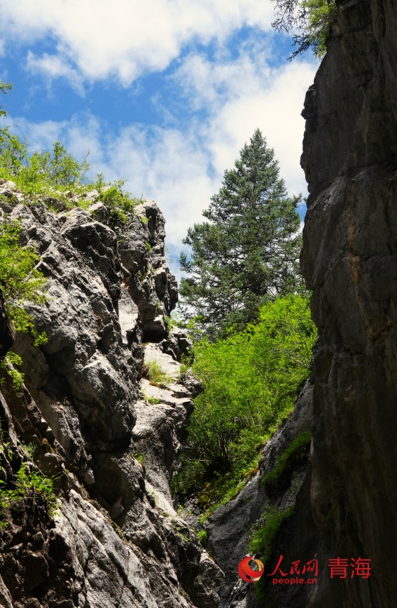 尕爾大峽谷風(fēng)光。人民網(wǎng)記者 甘海瓊攝