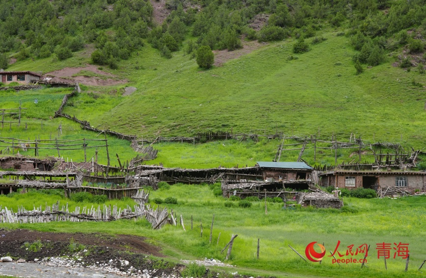 尕爾大峽谷高山牧場。人民網(wǎng)記者 甘海瓊攝