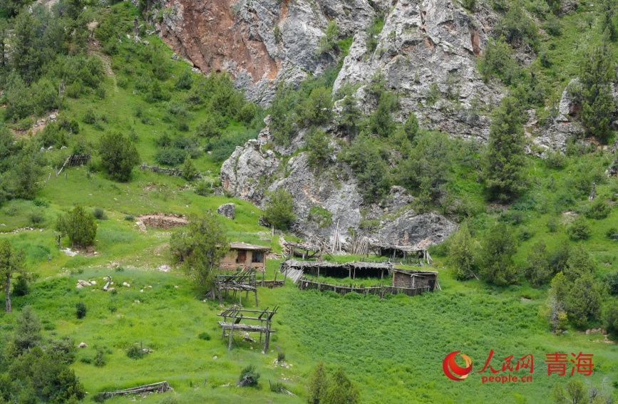 高山牧場。人民網(wǎng)記者 甘海瓊攝