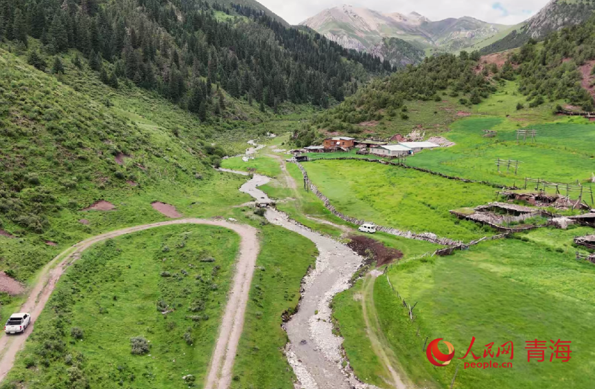 高山牧場風(fēng)光。人民網(wǎng)記者 甘海瓊攝