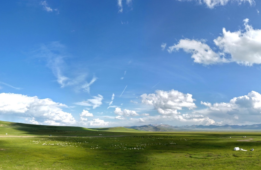 初秋的祁連山草原。安雪姣攝