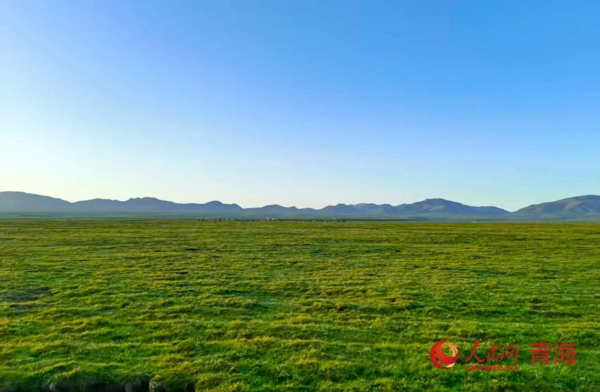 祁連山草原。人民網(wǎng)記者 甘海瓊攝