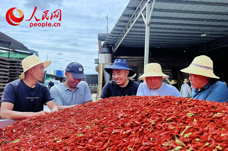 格爾木枸杞交易市場。人民網(wǎng) 顧斐菲攝