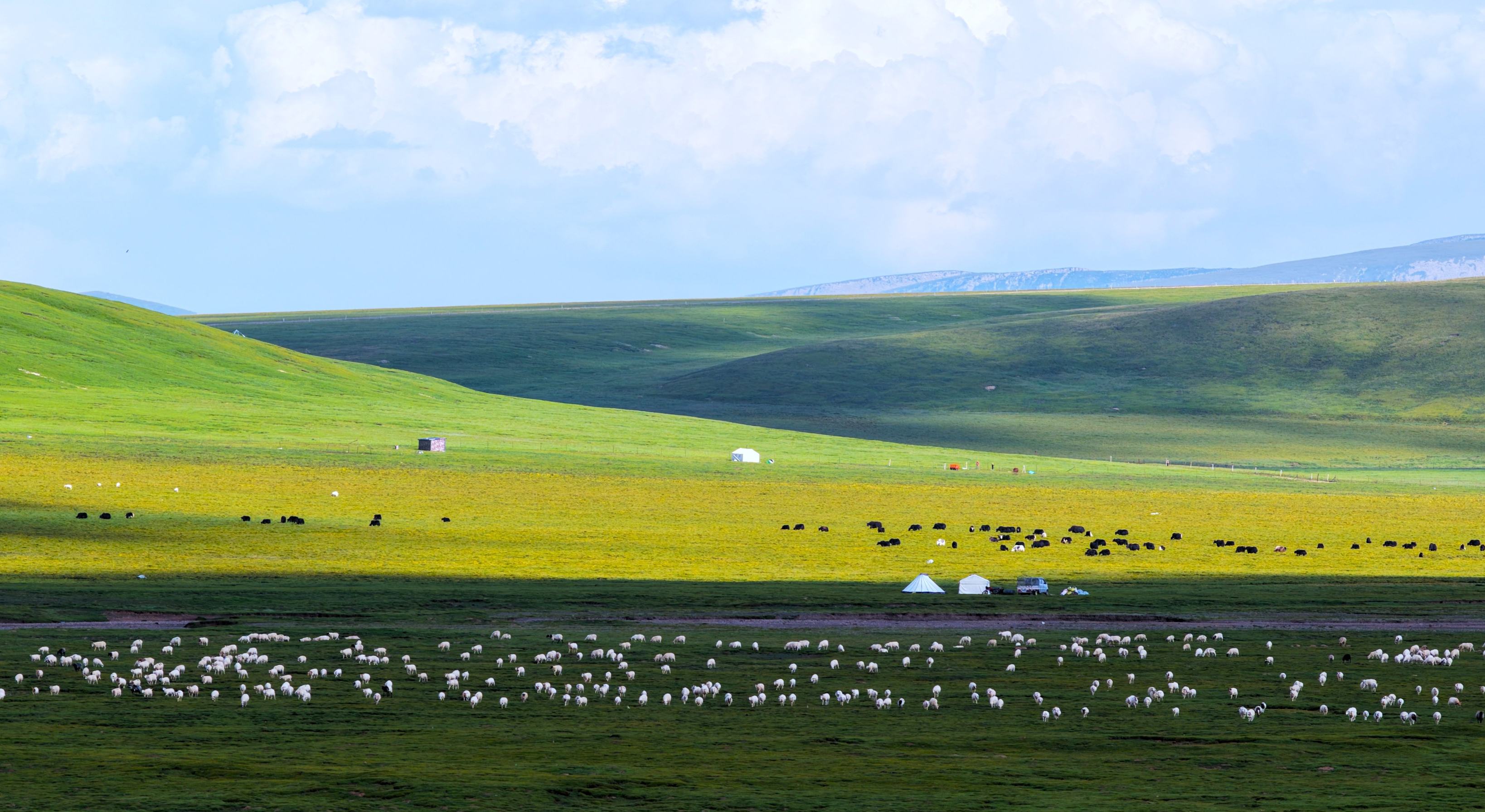 秋風(fēng)輕撫祁連山