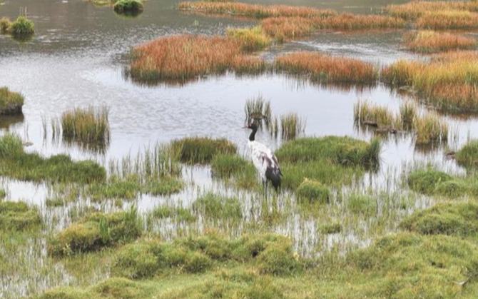 深情守護(hù)，讓一江清水向東流