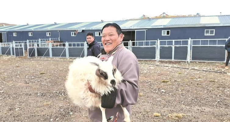 牧工巴達(dá)在繁育場(chǎng)。