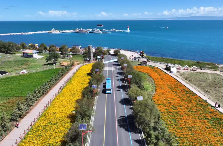 青海湖秋日限定色。湖旅集團(tuán)供圖