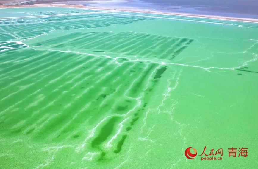 秋日的察爾汗鹽湖。人民網(wǎng)記者 甘海瓊攝