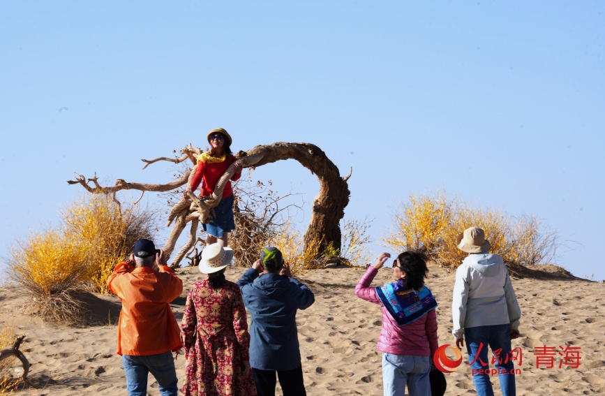 游客在胡楊林拍照。人民網記者 甘海瓊攝
