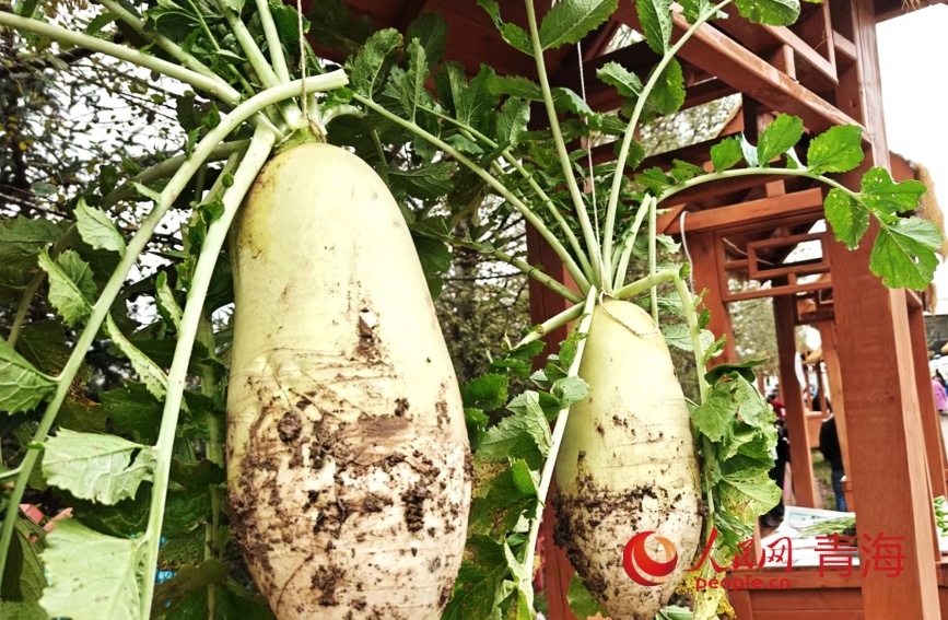 豐收節(jié)活動(dòng)現(xiàn)場(chǎng)。人民網(wǎng)記者 甘海瓊攝