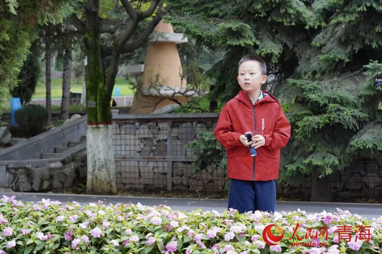 凝望秋光。實習(xí)生 孟啟昇攝