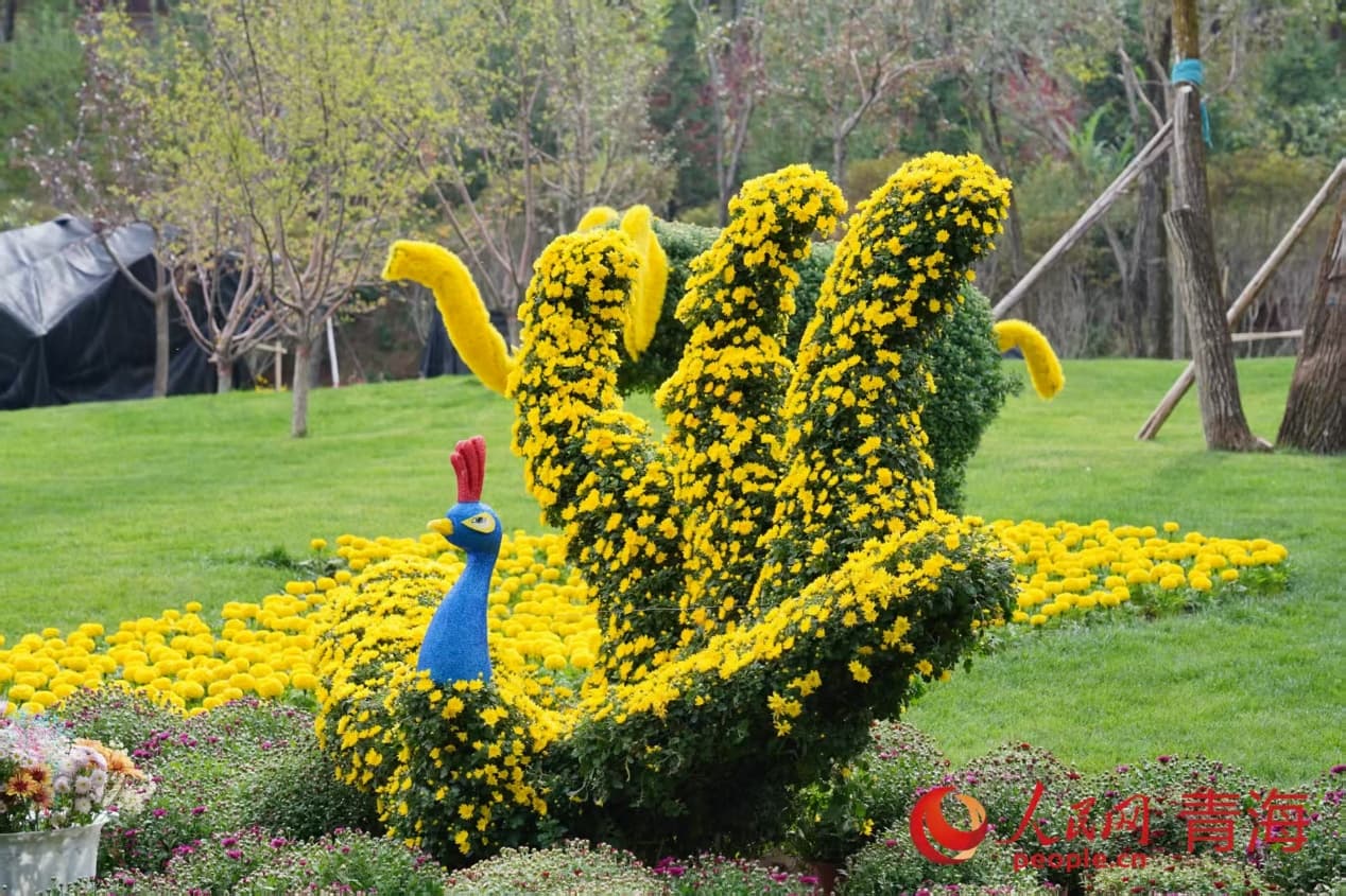 巧手匠心，菊綻生靈。實(shí)習(xí)生 孟啟昇攝