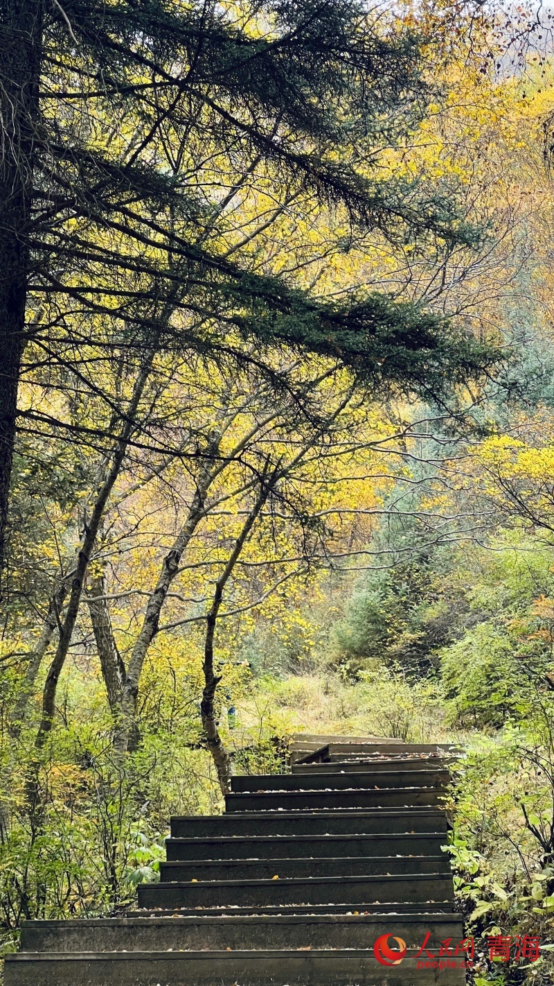 山間秋意濃。人民網(wǎng) 顧斐菲攝