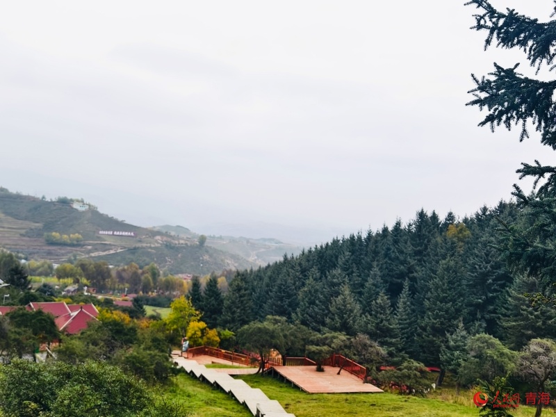 山野間黃綠相間。人民網(wǎng) 顧斐菲攝