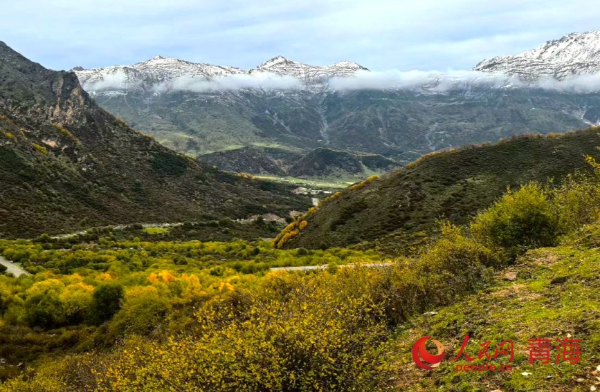 秋色浸染群加。人民網(wǎng)記者 甘海瓊攝