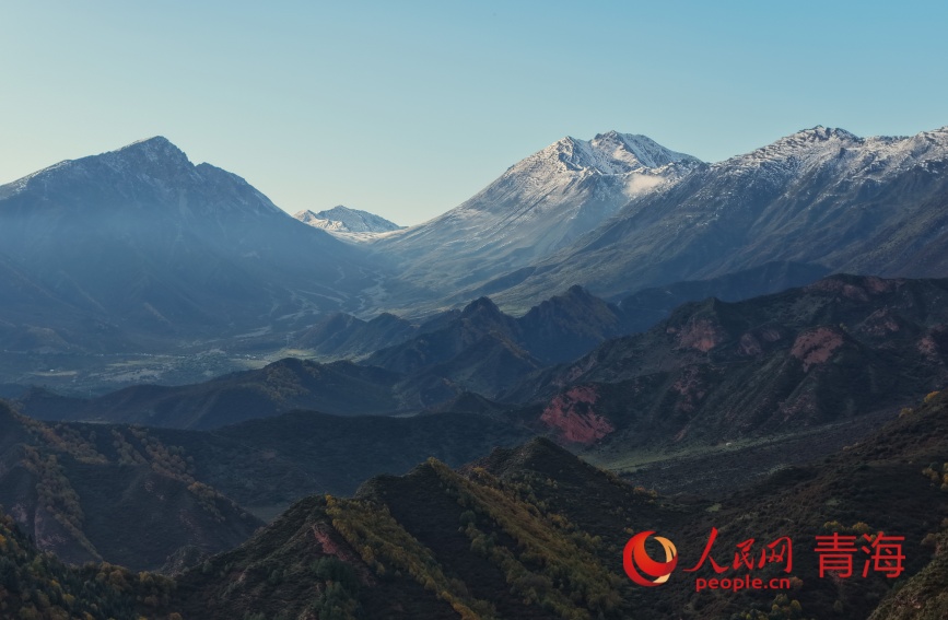 群加秋色。人民網(wǎng)記者 甘海瓊攝