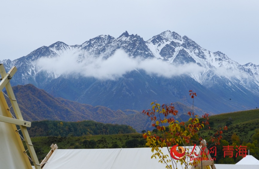 群加秋色。人民網(wǎng)記者 甘海瓊攝