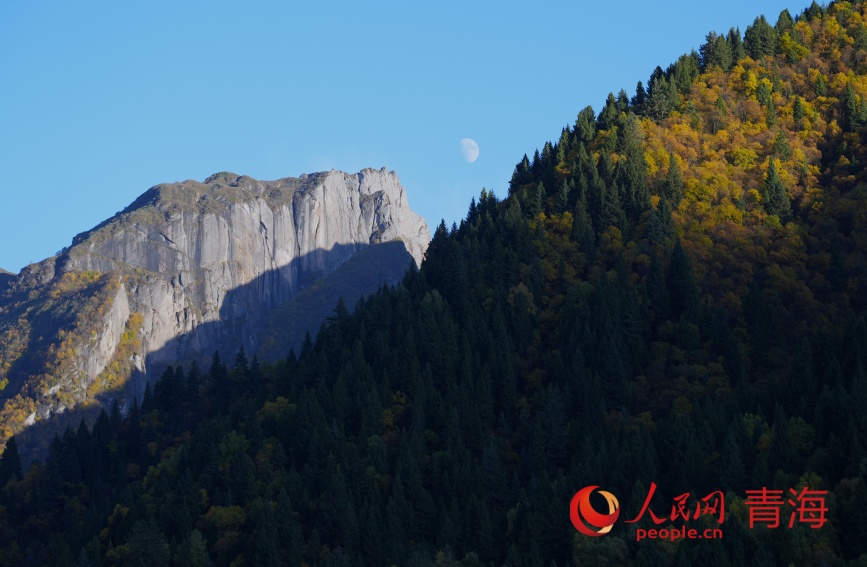 群加秋色。人民網(wǎng)記者 甘海瓊攝