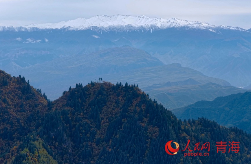 秋色浸染群加。人民網(wǎng)記者 甘海瓊攝