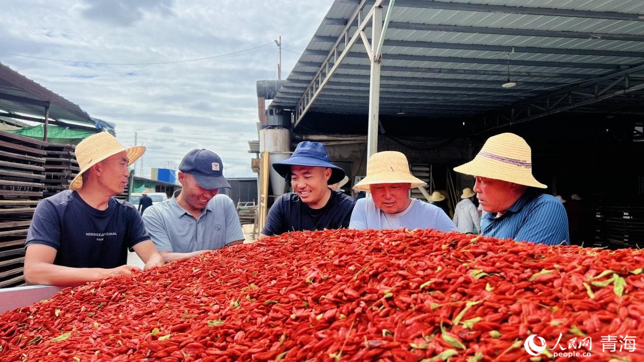 格爾木某枸杞交易市場(chǎng)內(nèi)。人民網(wǎng) 顧斐菲攝