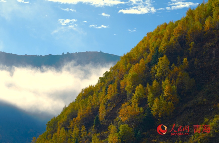 班瑪秋色。人民網(wǎng)記者 甘海瓊攝