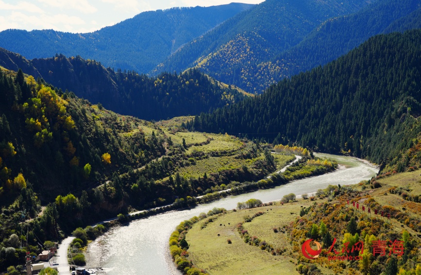 瑪可河流過林區(qū)。人民網(wǎng)記者 甘海瓊攝