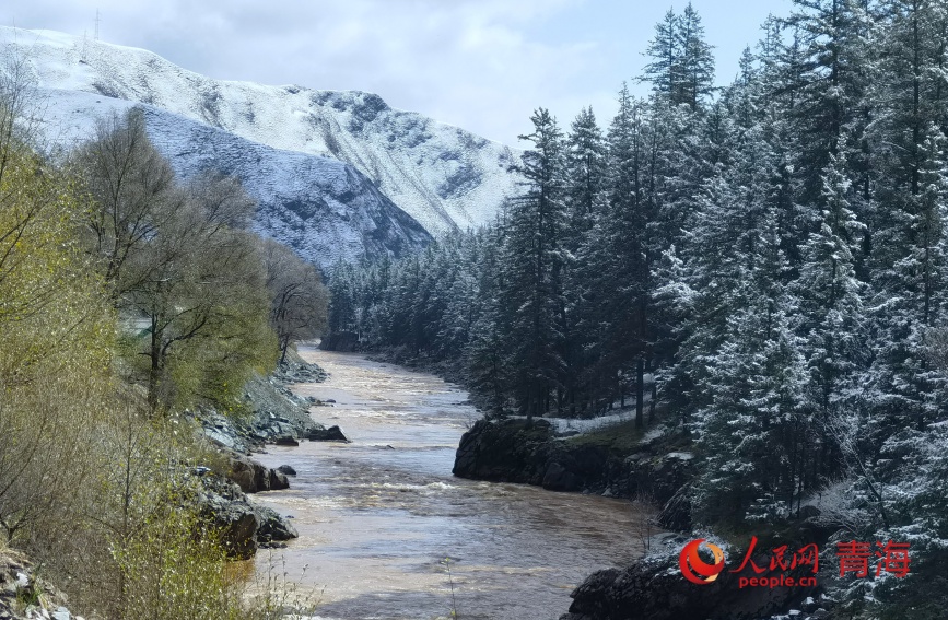 祁連山下秋光。人民網(wǎng)記者 甘海瓊攝