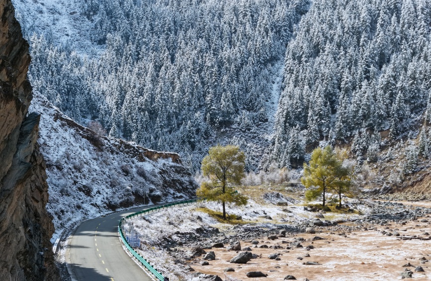 雪后的祁連山秋色。人民網(wǎng)記者 甘海瓊攝