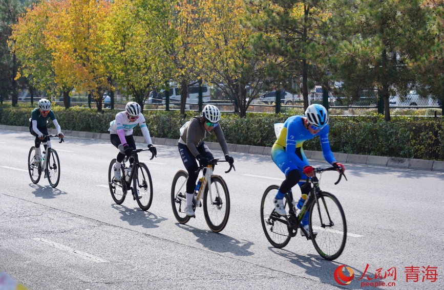 雁陣前行，破風(fēng)協(xié)作。 實(shí)習(xí)生 孟啟昇攝