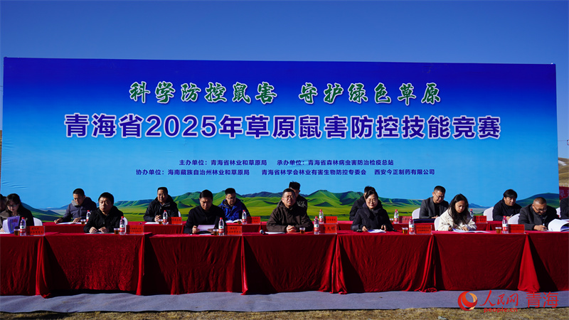 競(jìng)賽現(xiàn)場(chǎng)。人民網(wǎng) 顧斐菲攝